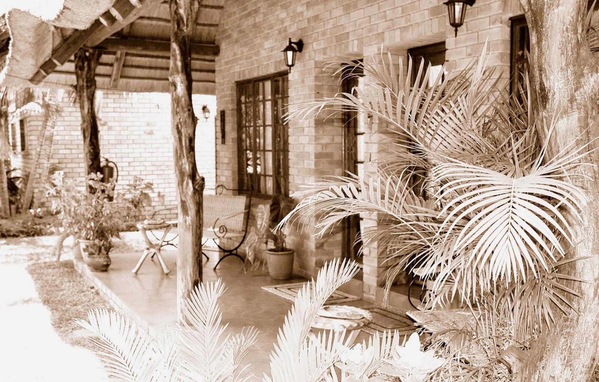 Trees Too Guest Lodge Komatipoort Extérieur photo